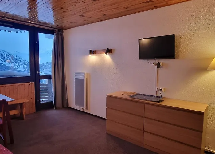 Fonctionnel 3/4 Pers Avec Acces Pistes, Animaux Permis - Fr-1-181-2605 * La Plagne