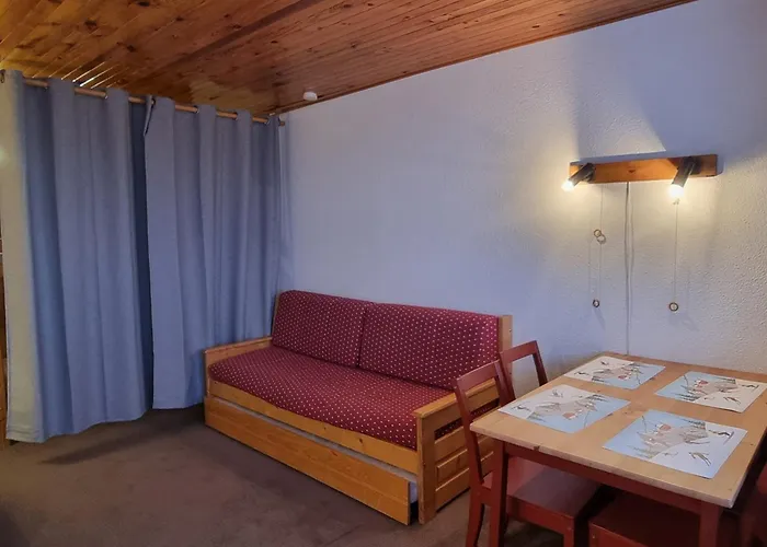 Fonctionnel 3/4 Pers Avec Acces Pistes, Animaux Permis - Fr-1-181-2605 La Plagne