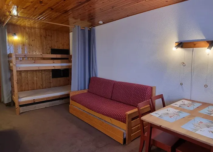 Apartment Fonctionnel 3/4 Pers Avec Acces Pistes, Animaux Permis - Fr-1-181-2605 La Plagne